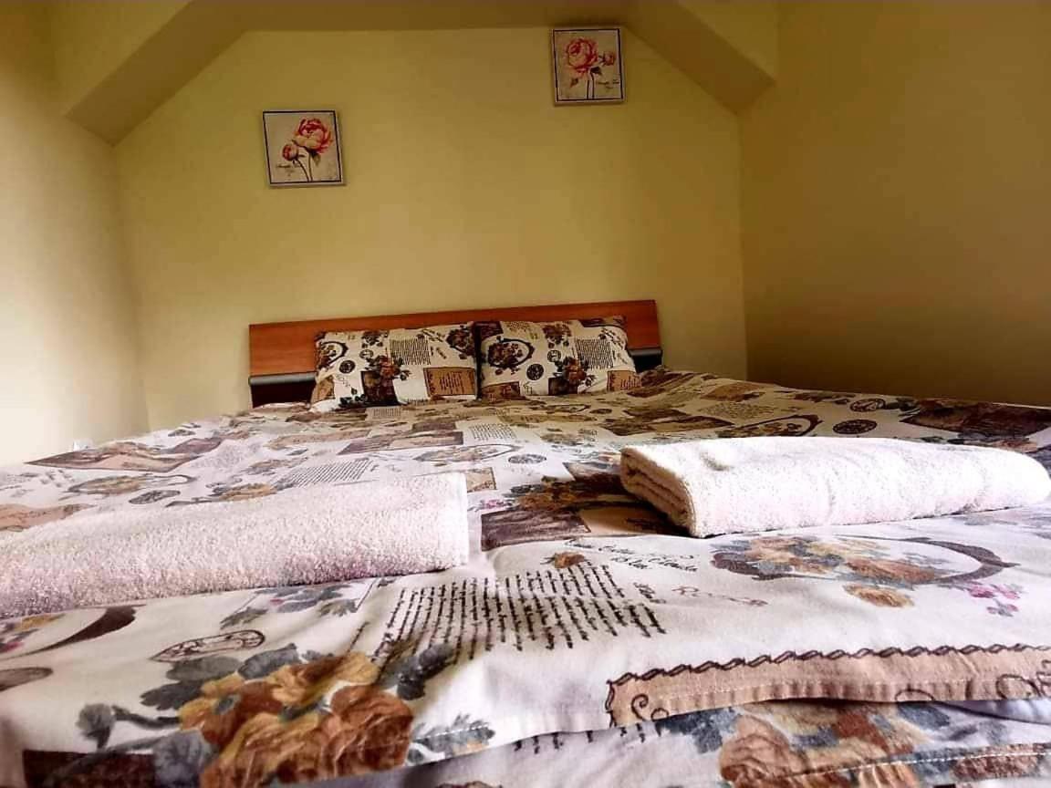 Guest House Vasilena サパレヴァ・バニャ エクステリア 写真