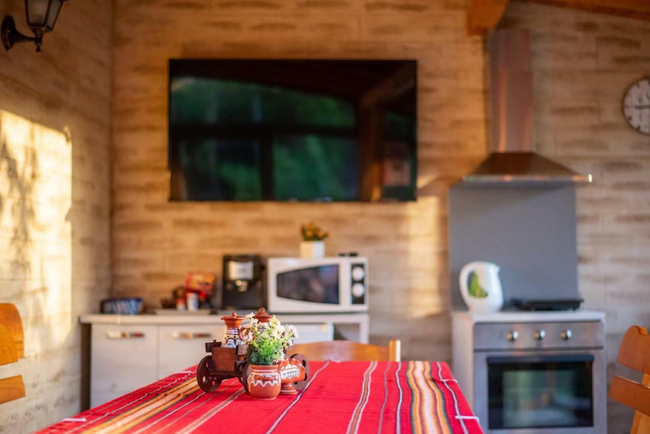 Guest House Vasilena サパレヴァ・バニャ エクステリア 写真